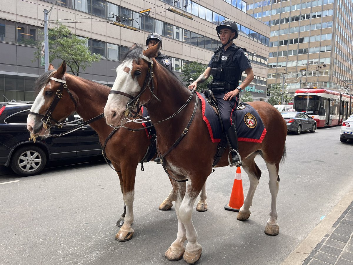Toronto Police Service - 52 Division tweet media