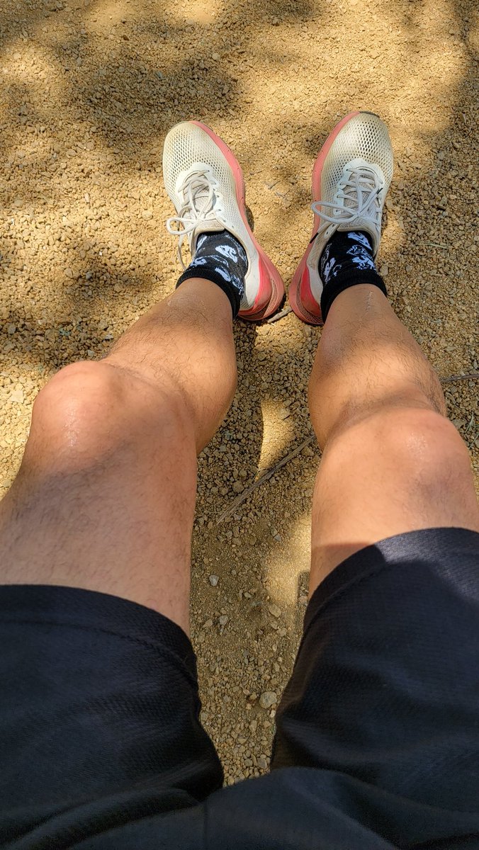 trekker21's tweet photo. It's 100+, but you know what?! Never give up. Never surrender!
#190lbGoal #BeInspired #BeInspiring #LOTRTheFellowshipVirtualChallenge #GettingFitAt50 #FitFederation #FitFederationJune #Top4Percent #Under230lbs #980Km #609Miles https://t.co/vE4P9xrYBg