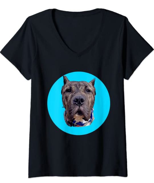 Womens Womens EthanAlmighty Dog T-shirt
amazon.com/dp/B0B4YC6CZJ?…

#pgjdogbar #ethanalmighty #EthanAlmighty #DogsofTwittter #TikTok