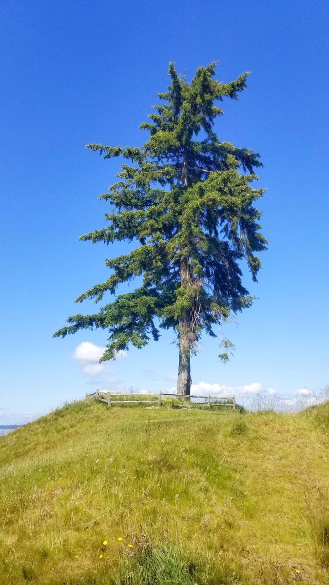 LinksNation tweet media