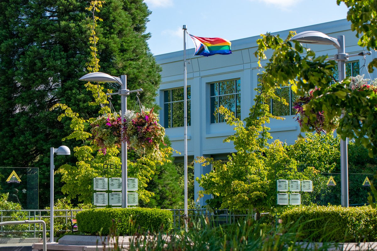 The vandal thought they could silence our support and pride by cutting down the flag.

Not only is the original Progress Pride flag pole back up and flying, we got creative — and even louder and prouder.

Thanks for helping us think outside of the box!