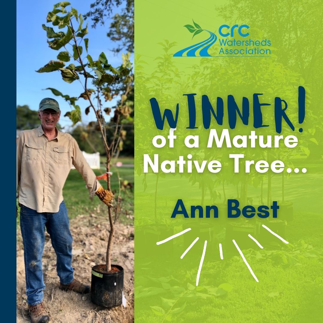 CRCWatersheds's tweet photo. Congratulations to Ann Best for winning our Tree Giveaway! Trees are a vital part of nature &amp; play a huge role in our environment, and we want to see more trees  planted in the Chester, Ridley, and Crum Creek Watersheds.  

Keep an eye out for our next giveaway coming soon! https://t.co/xPDbq4EYpb