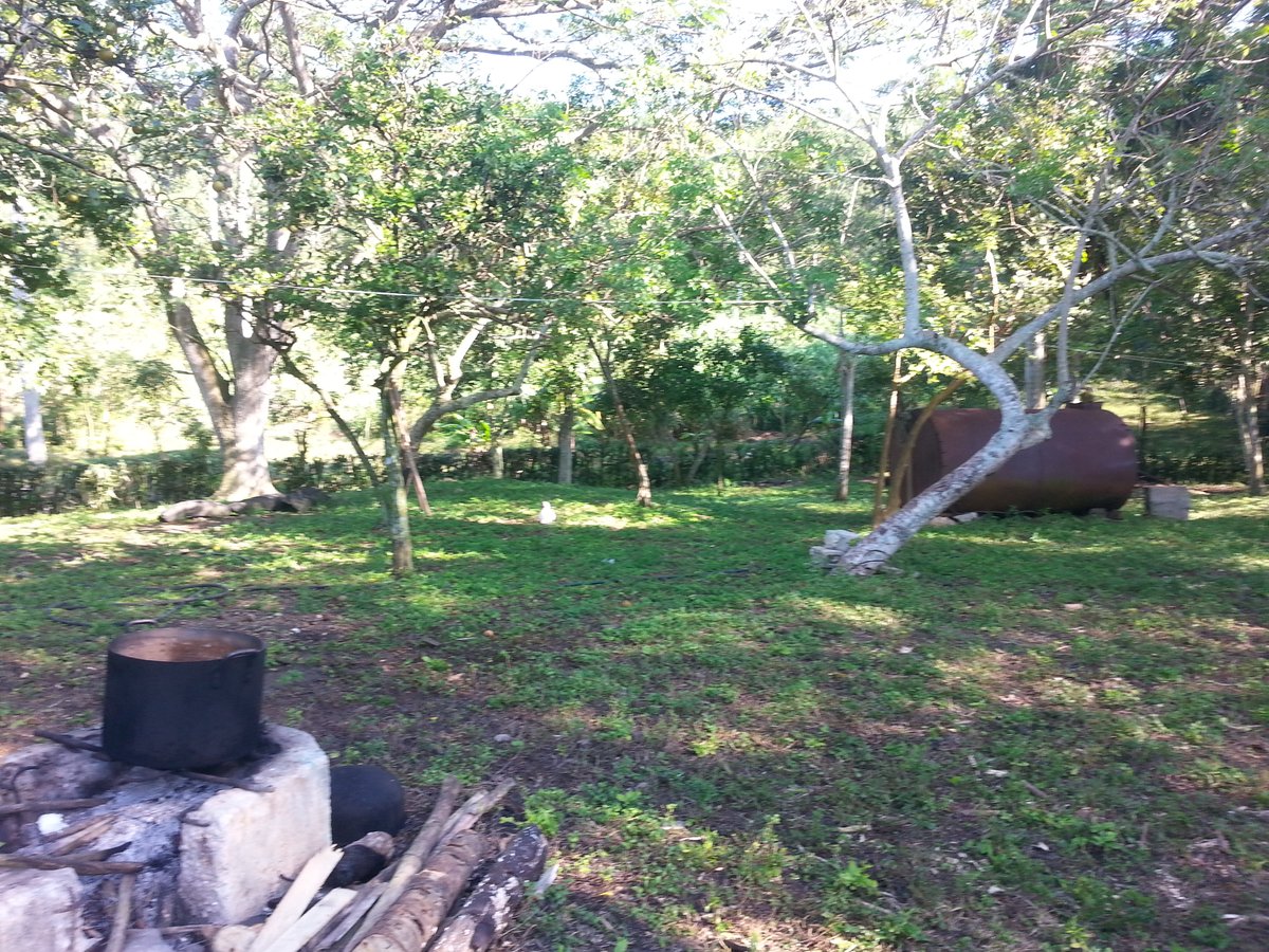 Empresa Agroforestal Matanzas (@agrofor2empresa) on Twitter photo 