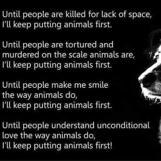 Julesk23's tweet photo. #AnimalsMatter #AnimalsFirst #Priority https://t.co/r5og5TTt3l