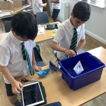 Y3 have been working on their Summer Science Projects. Today the boys carried out their investigations. The pairs were completing an experiment based on their own scientific question. It was great to see such a variety of enquiries happening at the same time! @SHSBoysPrep 