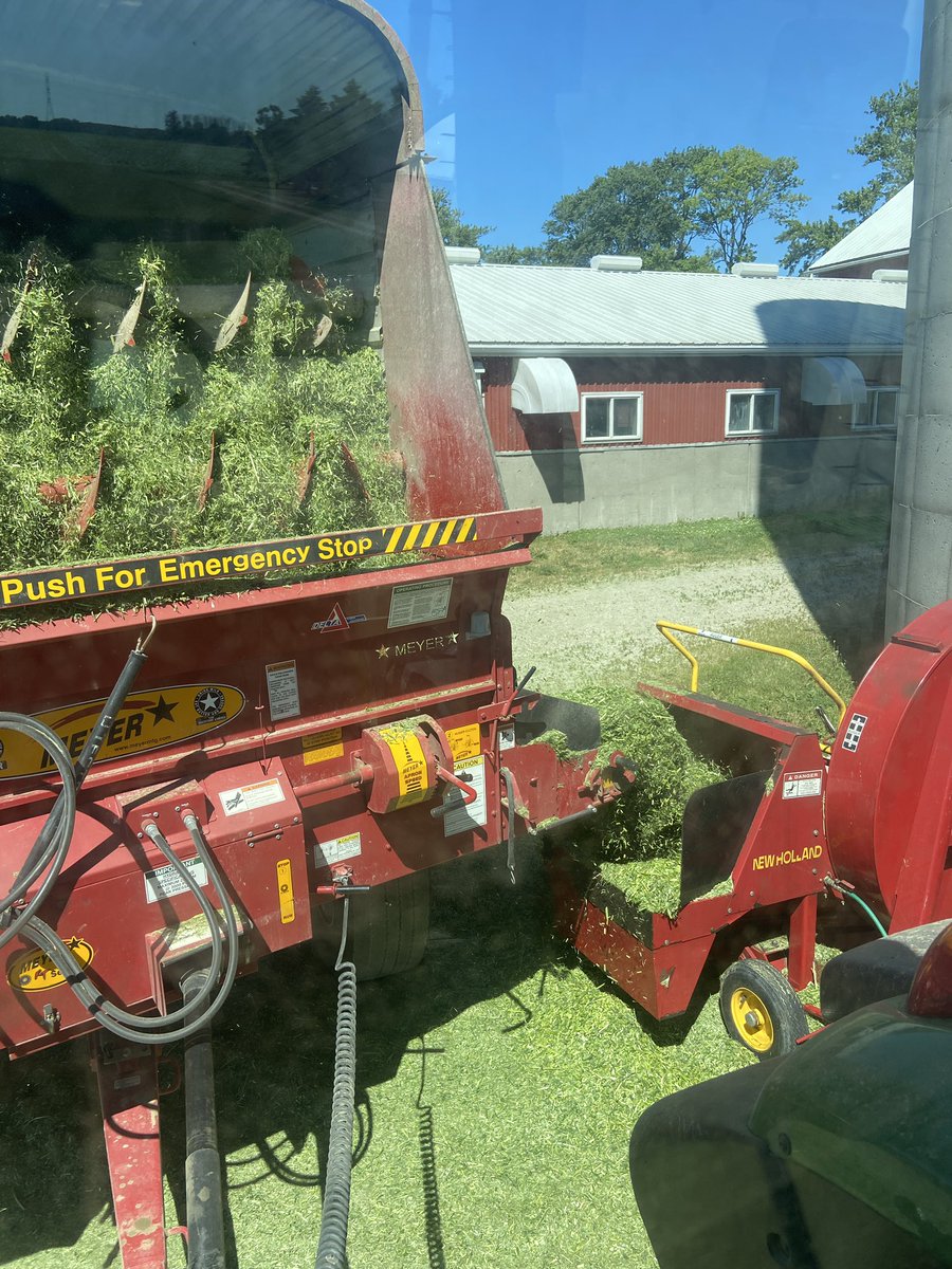 New seeding for the heifers, 45 mins round trip