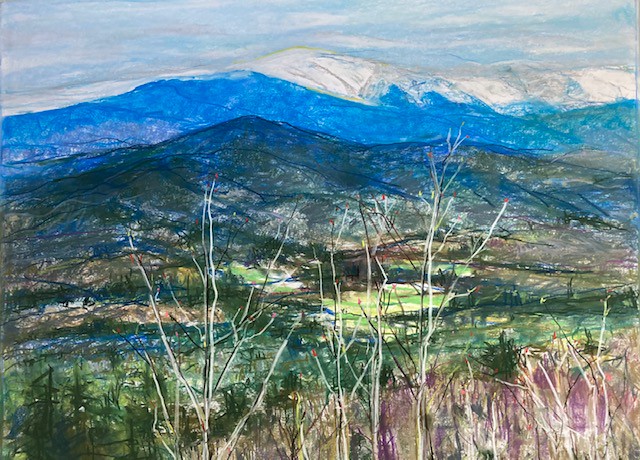 Art Talk with Painter Ann Guyer - mailchi.mp/c8444ca55d11/j…