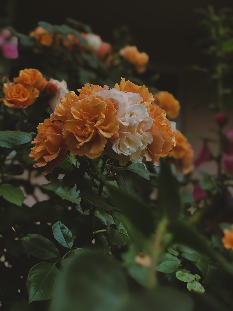 beklemek zor peki bekletmek