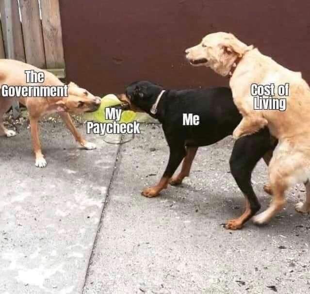 They say a picture say's a thousand words.