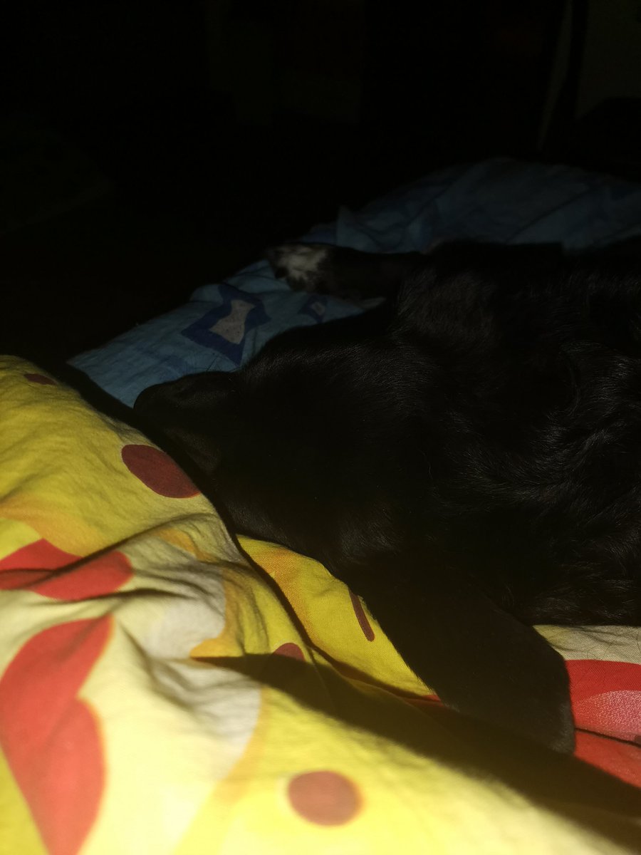 A teraz szykujemy się do spania. Dobranoc wszystkim.