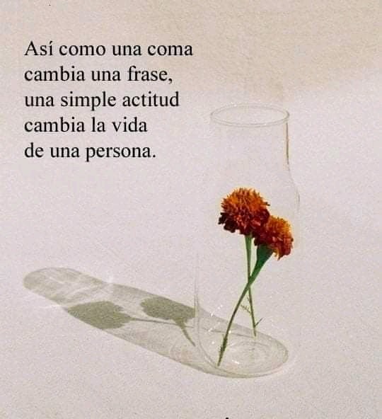 Dr_Blazquez's tweet photo. Reflexión... vía https://t.co/IBGnXqdap2 https://t.co/WRYdIgADE7