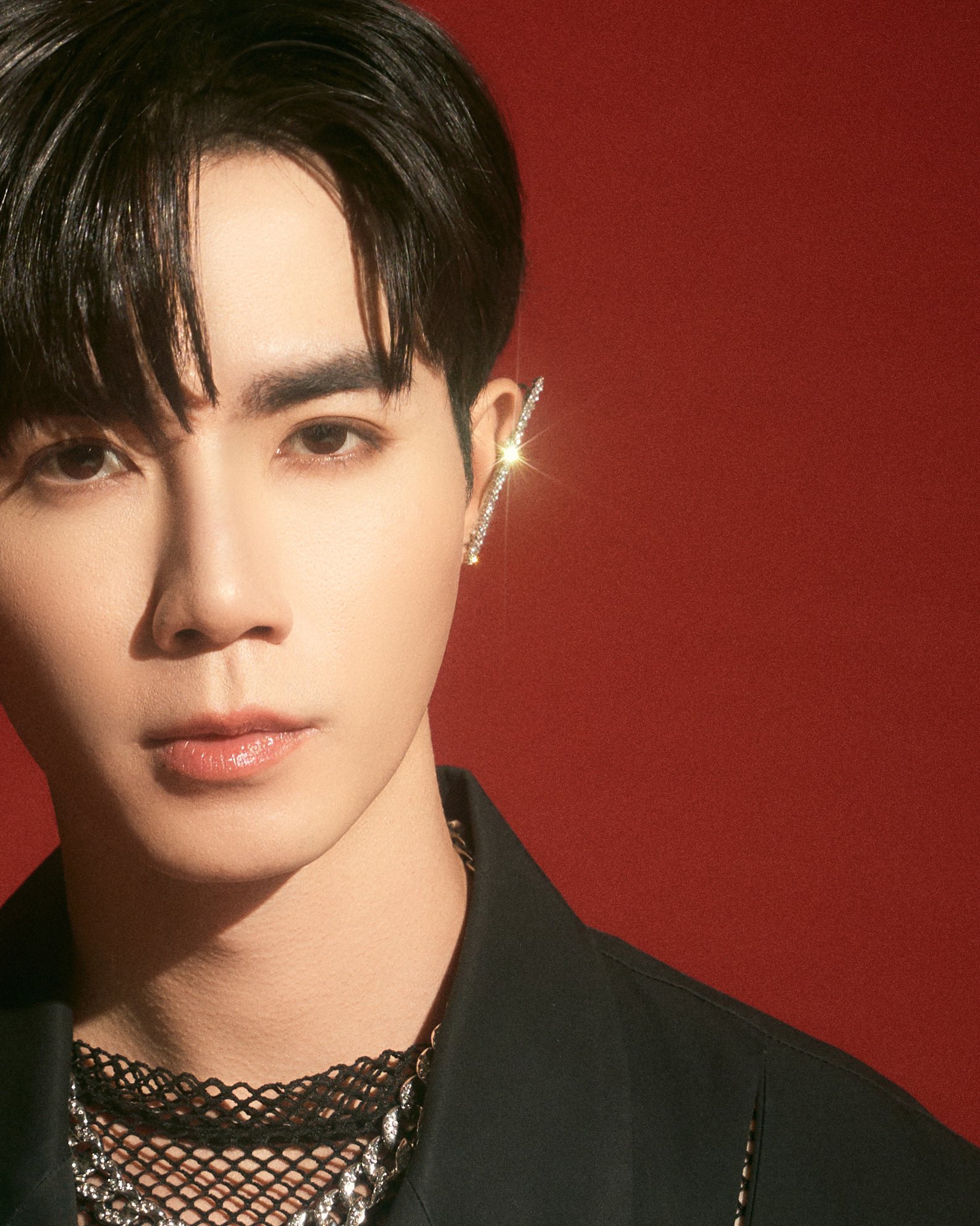 DOMUNDI Profile & Facts (Updated!)