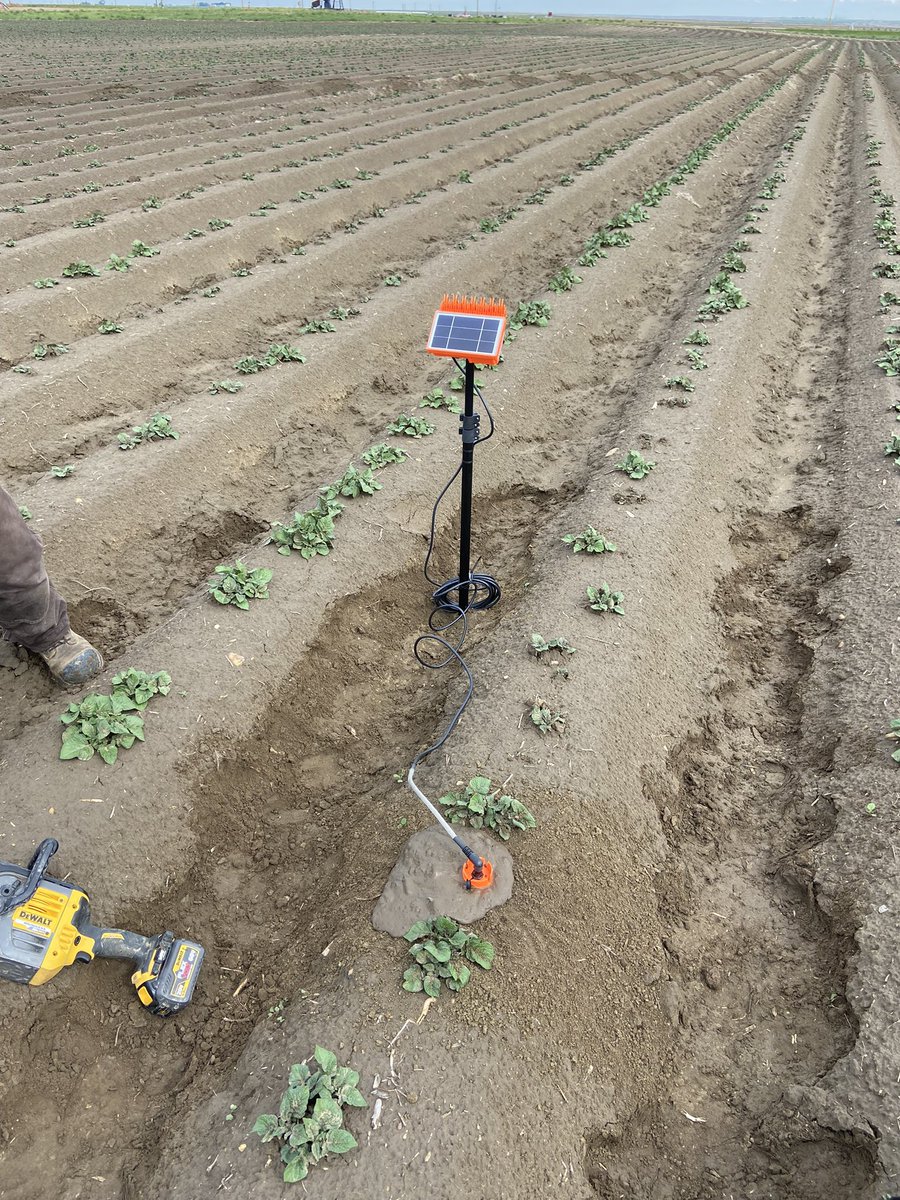 Nice day out installing Aquaspy Moisture Probes today. This is a 2 foot probe with sensors every 4 inches to monitor moisture penetration. The app that is used shows active root zone, EC, current weather, and last rainfall/ irrigation! #moisture #rainisagoodthing