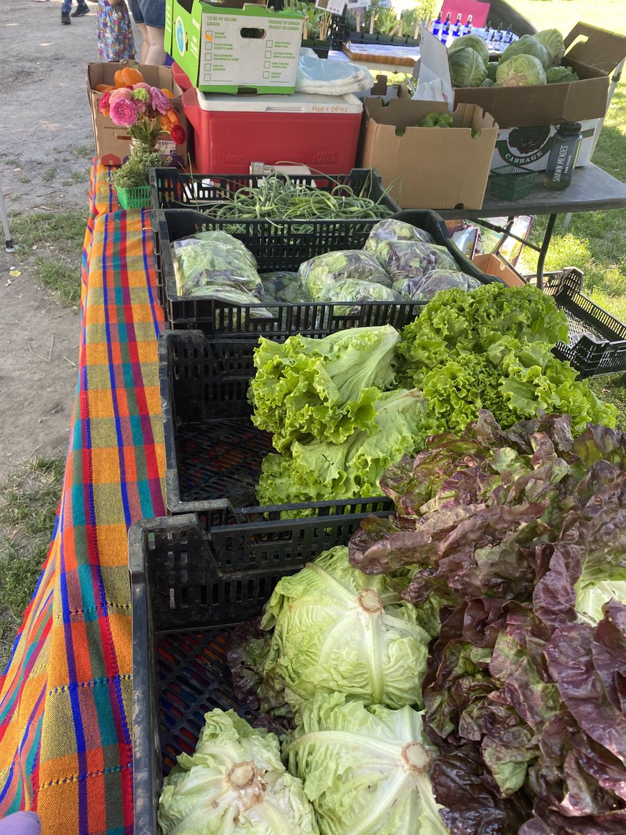 Hey #Toronto   Come join us at beautiful #Dufferingrovefarmersmarket #eatlocal #ontariogrown