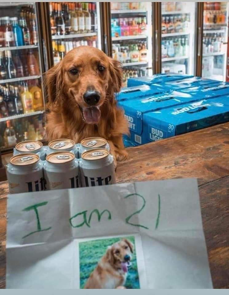 I totally believe him