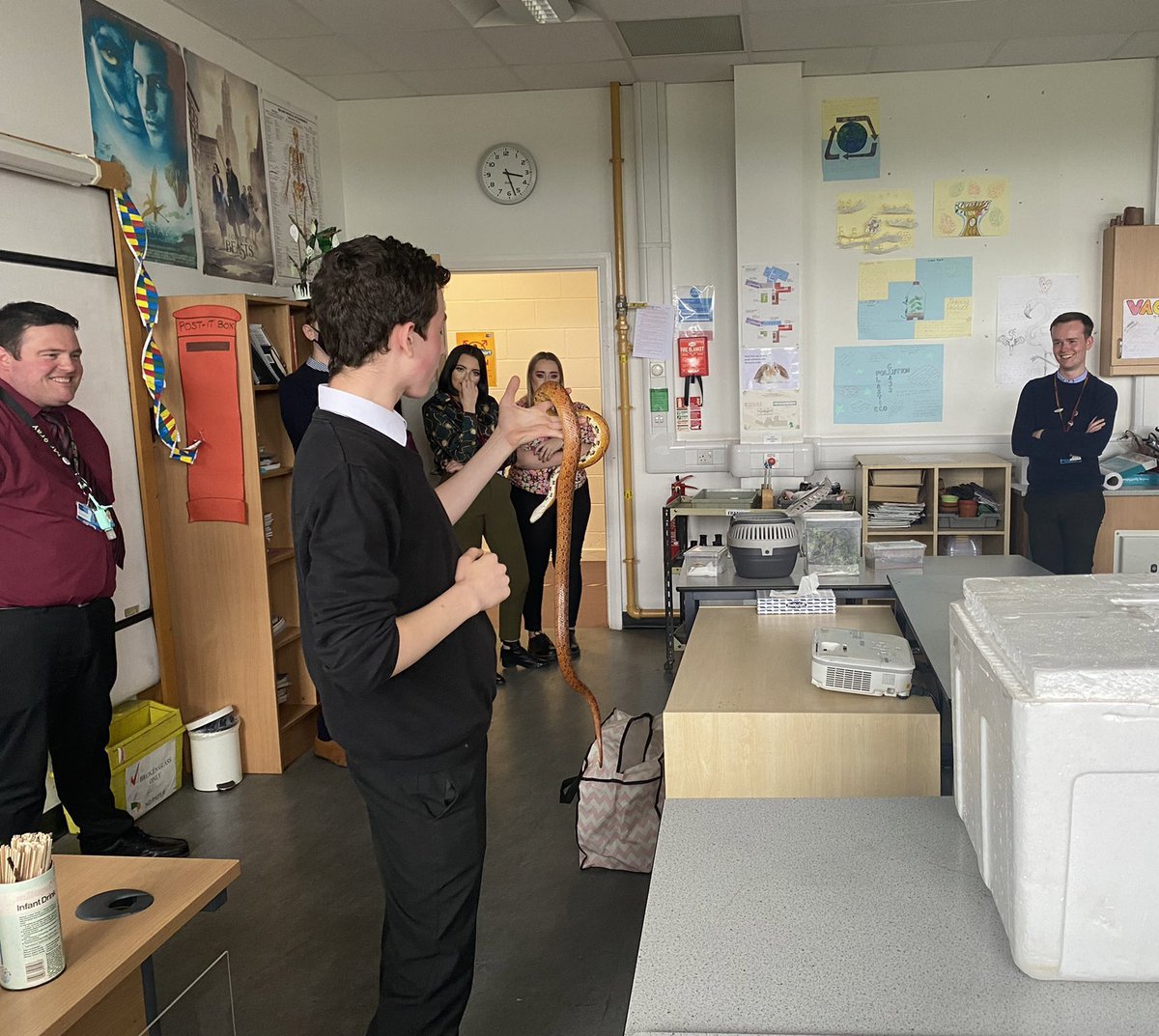 StrathavenBio's tweet image. One of our fantastic biologists, Toby, shared his expert knowledge and brought in a small sample of some of the exotic animals he keeps 🐍 🦎 🦋