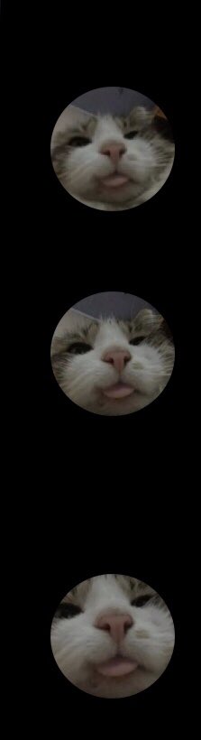 rien à dire de plus.