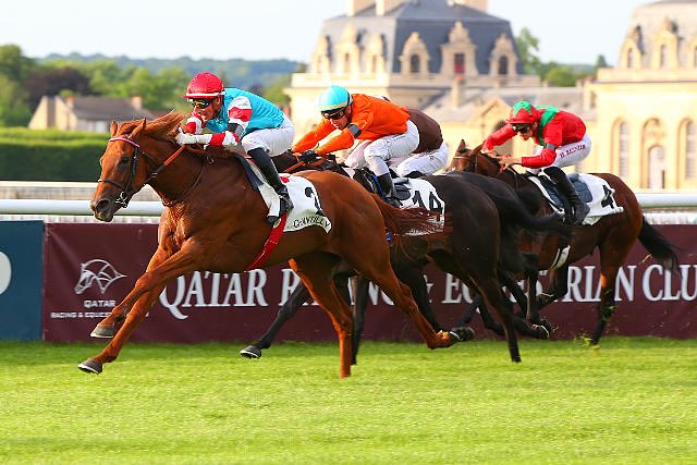 AlexPantall's tweet photo. 3yo winner with ANTHORUS (C3) at @fgchantilly / Prix Chantilly Capitale du Cheval
Owner / breeder #YvettePantall @AlexPantall
Jockey #GeraldMosse https://t.co/Y3xEUebJeS