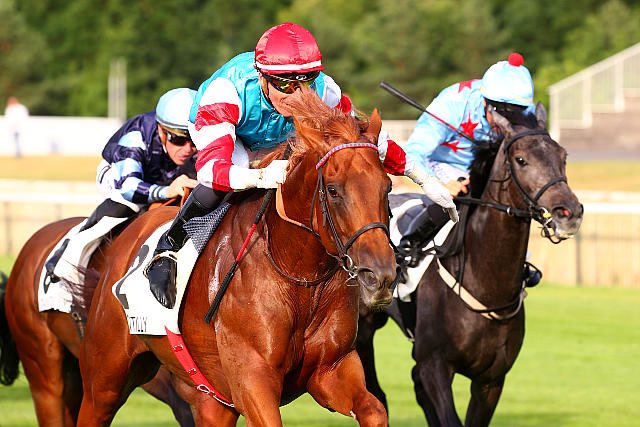 AlexPantall's tweet photo. 3yo winner with ANTHORUS (C3) at @fgchantilly / Prix Chantilly Capitale du Cheval
Owner / breeder #YvettePantall @AlexPantall
Jockey #GeraldMosse https://t.co/Y3xEUebJeS