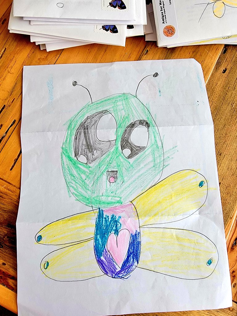 Thanks to James in La Jolla, CA for sending this very cool artwork + letter to #LiamtheLepidopterist. 💚🌱 Your free #AmigosforMonarchs seed kit will be in this weekend's mail drop off, James. #PollinatorWeek