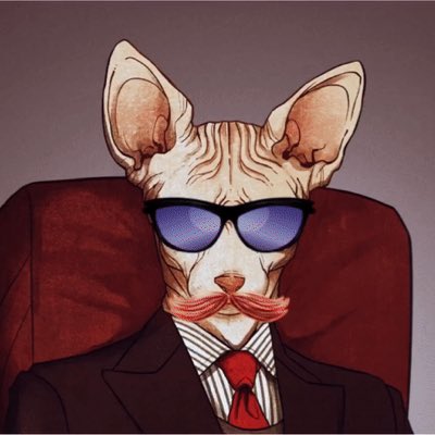 _NFTKoala's tweet photo. #NewProfilePic https://t.co/0RQRk0U5Vq