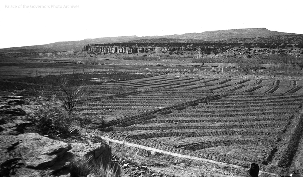 #Tilled #farm land, #LagunaPueblo, #NewMexico, 1908 - 1918?
Photographer: H.F. Robinson (POG 036729)