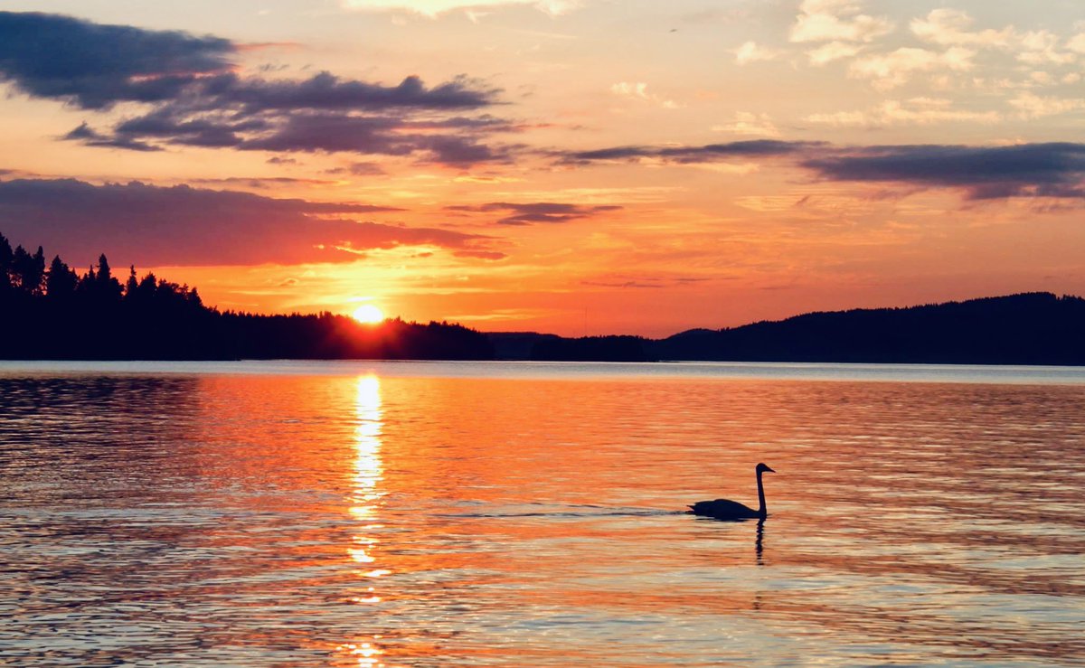 ErickJon's tweet photo. En Finlandia ahora mismo el sol de #Medianoche #MidNightSummer https://t.co/RkKexHYOSm