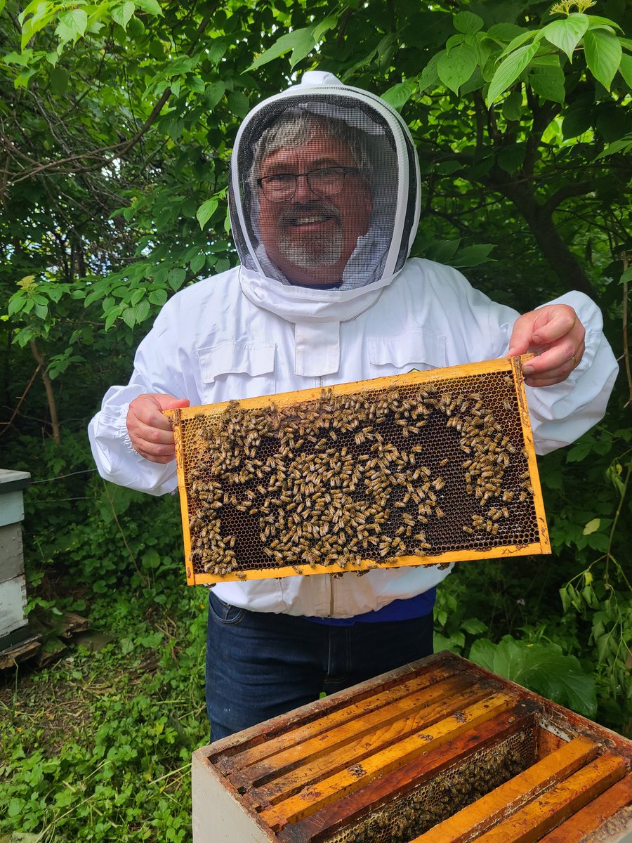 Safety_Always's tweet photo. Spent the day working with a local beekeeper. Had a blast! The sounds, smells, amazing! https://t.co/94CLBNA5kV