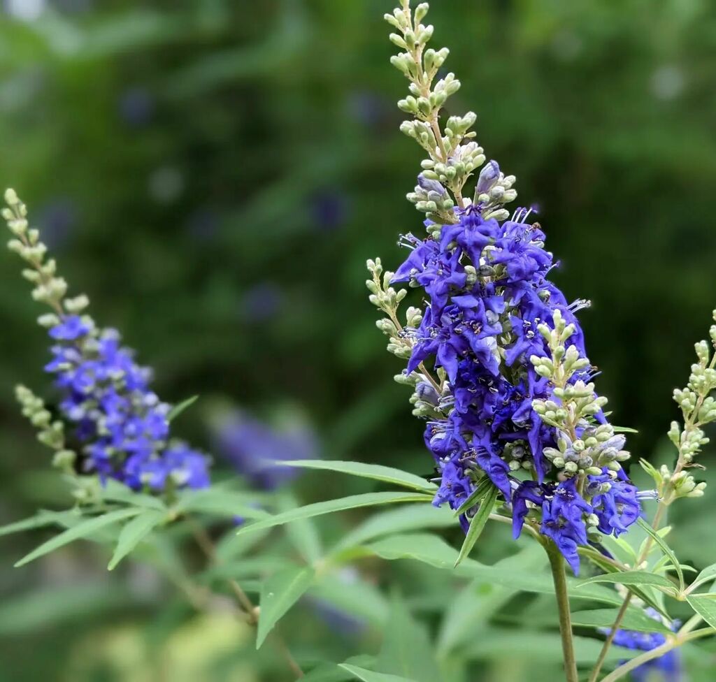 instagr.am/p/Cer5hZ6LjYX/