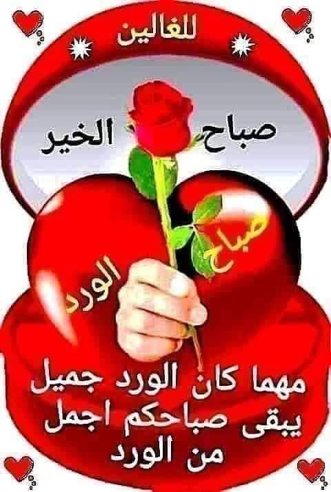 فحيحيل الخير (@fhaheelkhair) on Twitter photo 