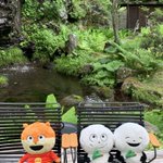 Goma2のツイート画像