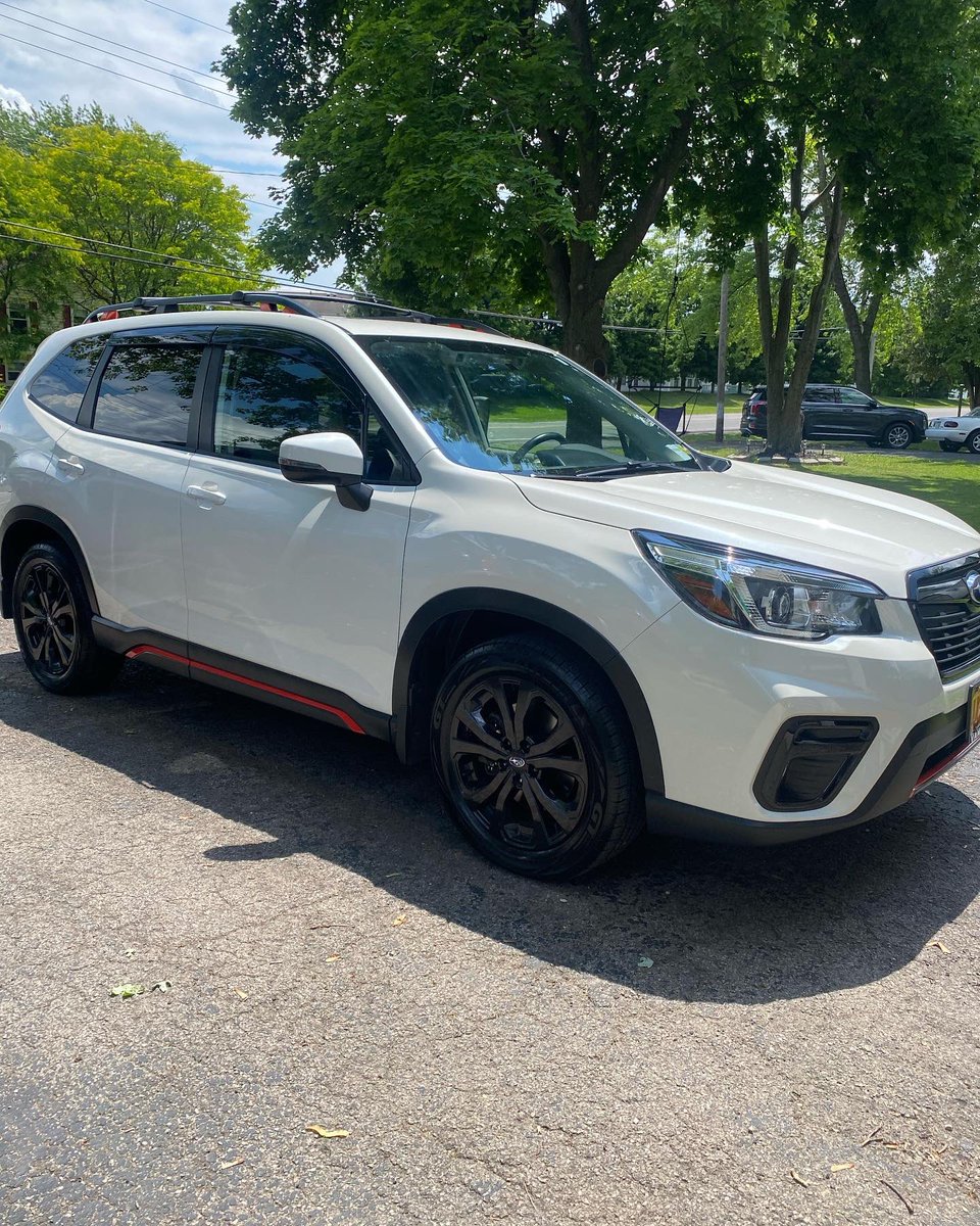 LifeWithIndigo's tweet image. I love her 😍