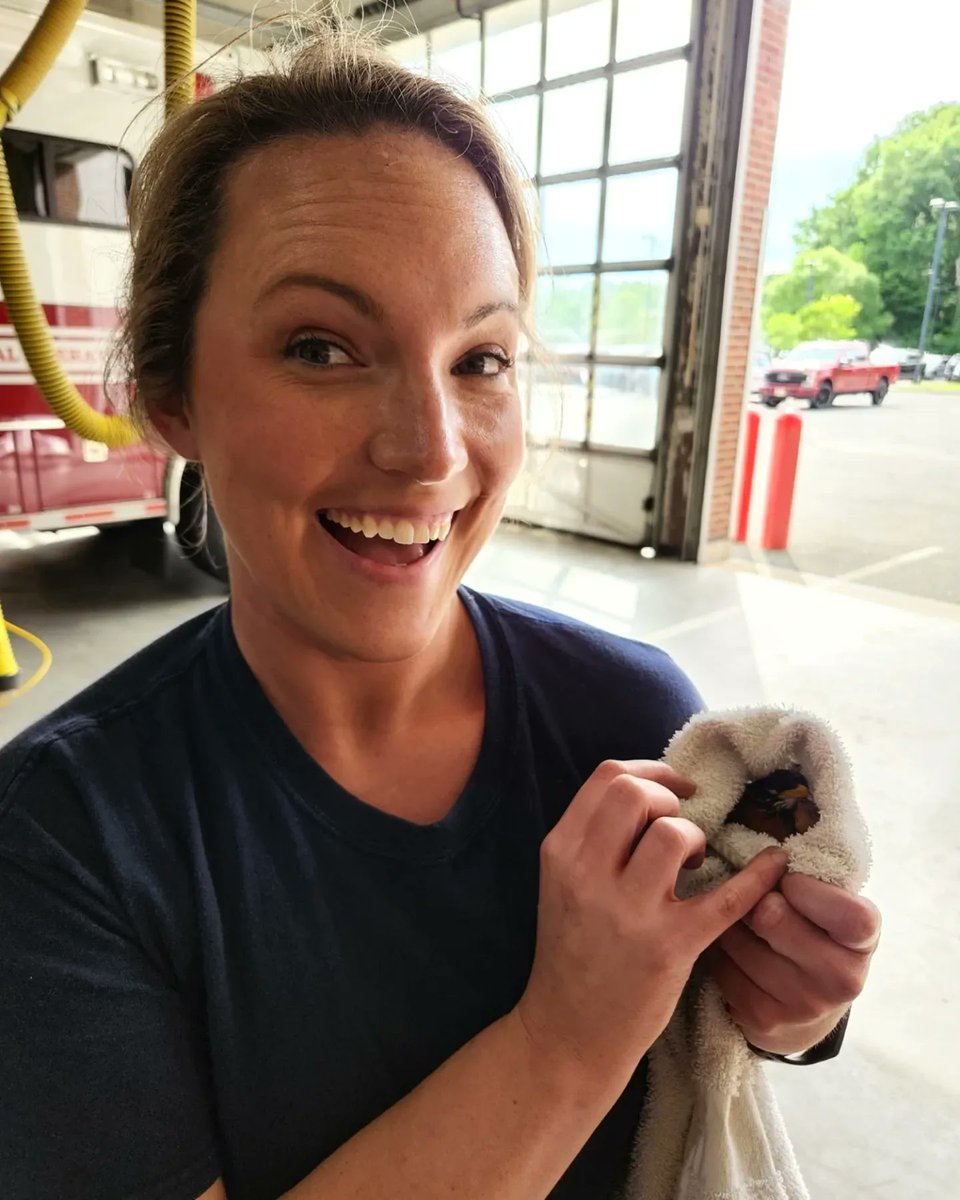 FireWilmington's tweet photo. After multiple attempts, group 2 successfully rescued a bird that flew into the skylights in the apparatus room. We gladly welcome visitors, but please be able to egress on your own accord when stopping by 🙂. #laddertraining #wilmingtonfire https://t.co/omeggxwPo6