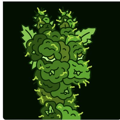 High_ryder420's tweet photo. #NewProfilePic check this nugged out long neck from @Herbertonic #TowerSquad he’s got stuff on open sea and does custom loop nexs hit em up or join the discord the community is laid back and chill #Gamestop4life https://t.co/Fnt30gm9Lh