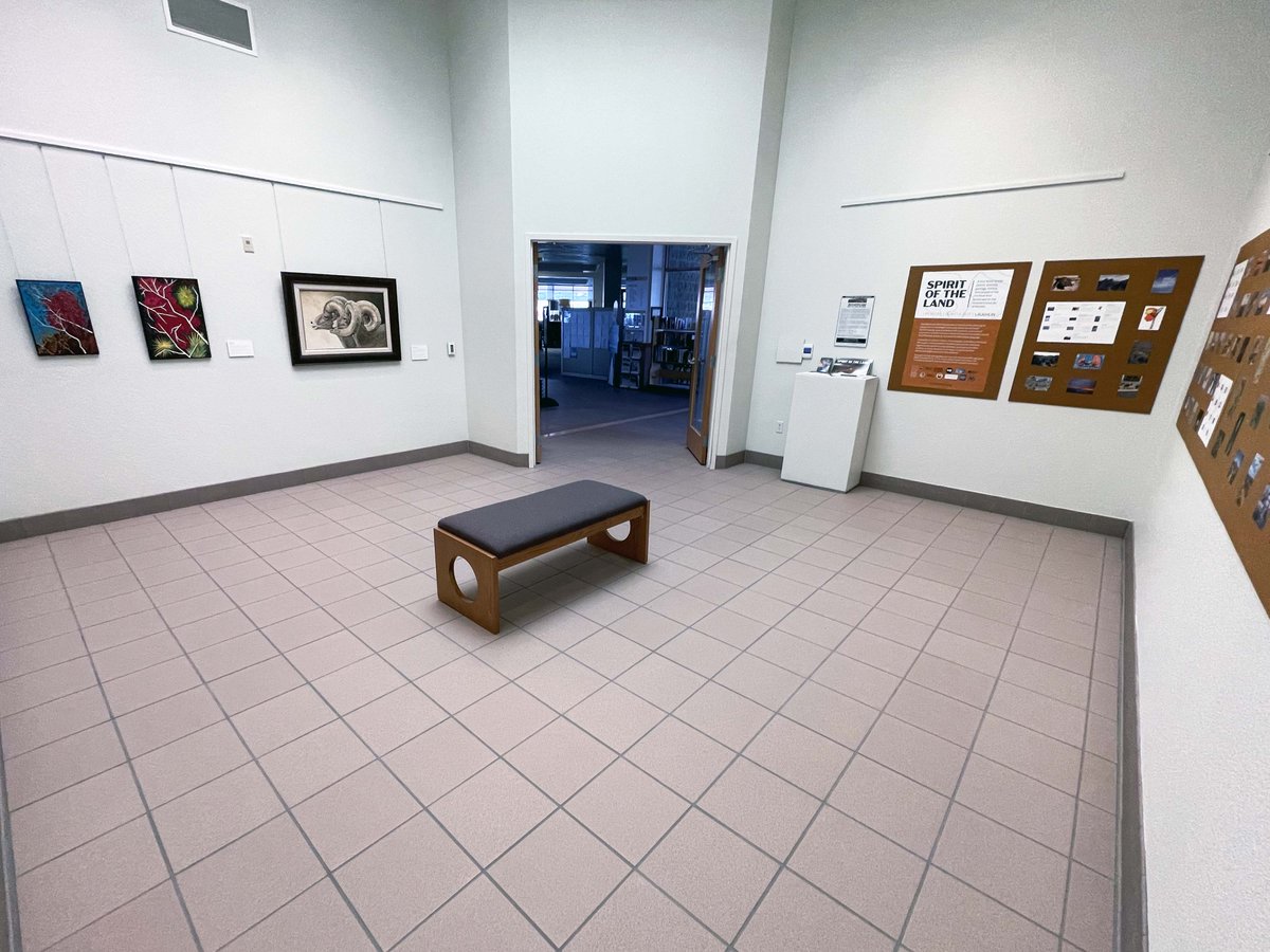 LVCCLD's tweet photo. Take a trip to #LaughlinLibrary to see the "Spirit of the Land" exhibit that is now on display through June 25, 2022, &amp; is a love letter to the plants, animals, geology, history, &amp; people of the East Mojave landscape at the southernmost tip of Nevada. https://t.co/lZqlvEvnhr https://t.co/YWD7Ex1Awo