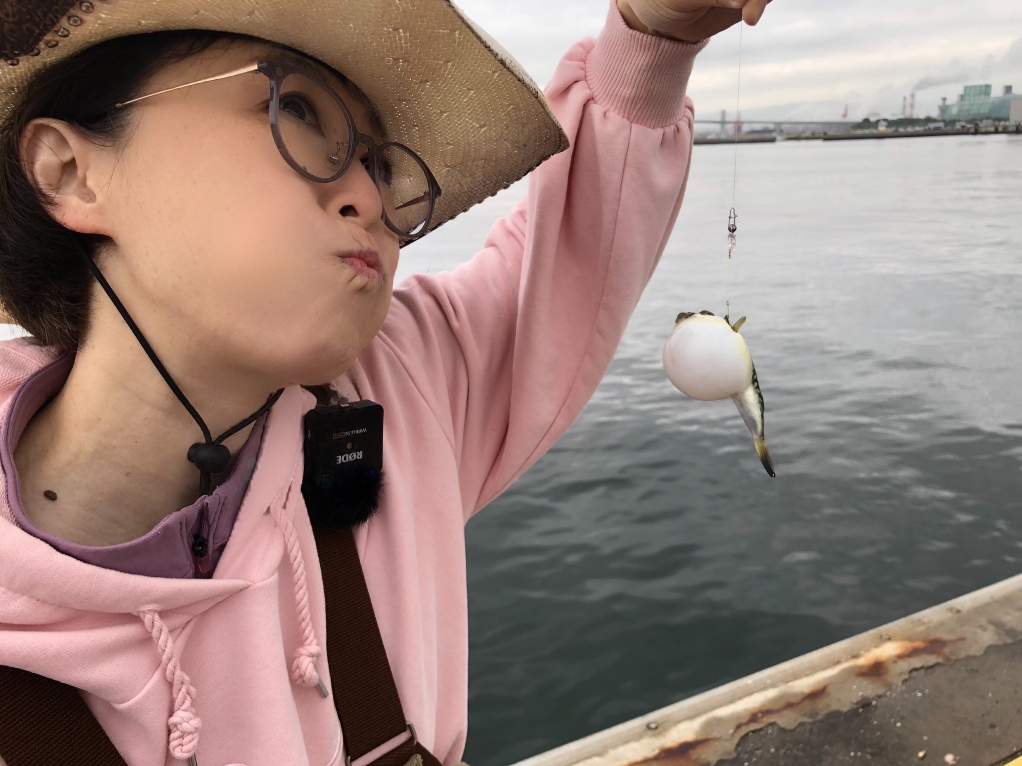 マイケル桂 アジング 鯵のルアー釣り Ajing Game Twitter