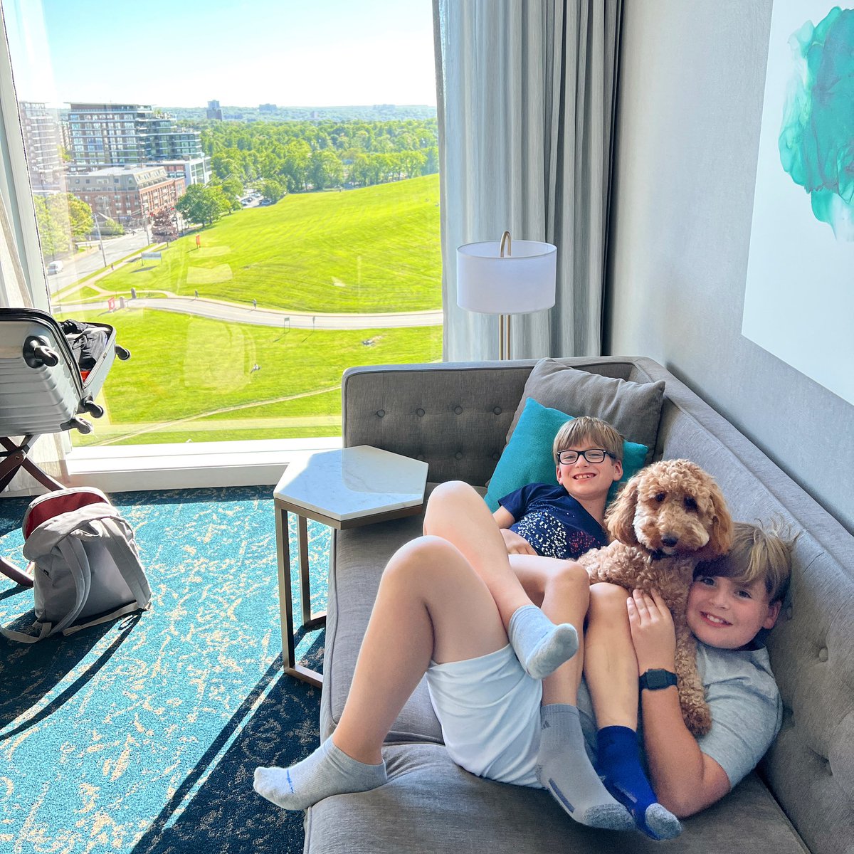 jamesmullinger's tweet photo. Final night in the Maritimes before flying solo to the UK and Hunter is partying in style with his best friends River and Willow in their favourite hotel @SuttonPlaceHtl. #suttonplacehalifax #experiencesutton #halifax #hakifaxnoise #minidoodle #minidoodles #lovebugdoodles https://t.co/O30reFZIfa