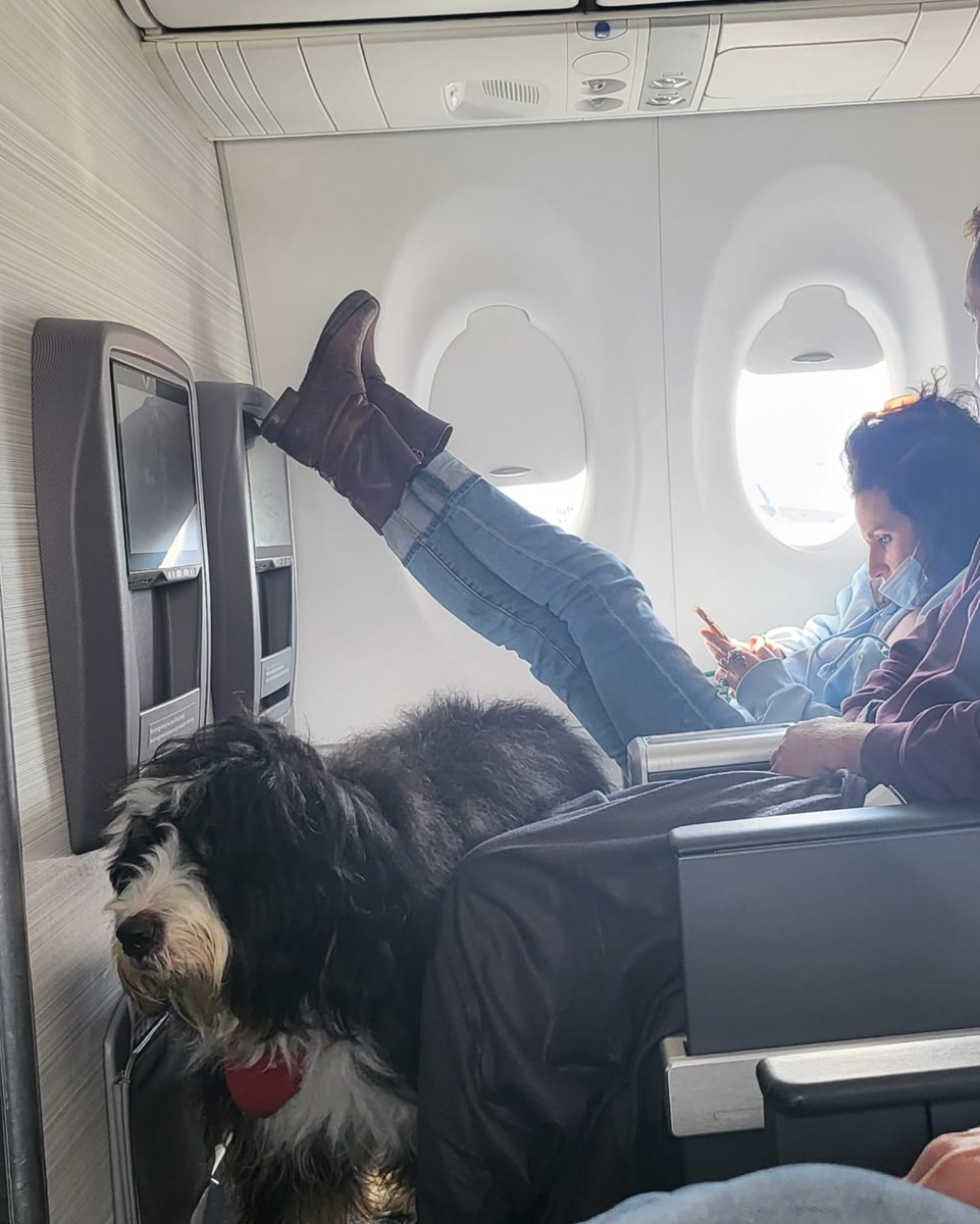 Chris Donaldson tweet media