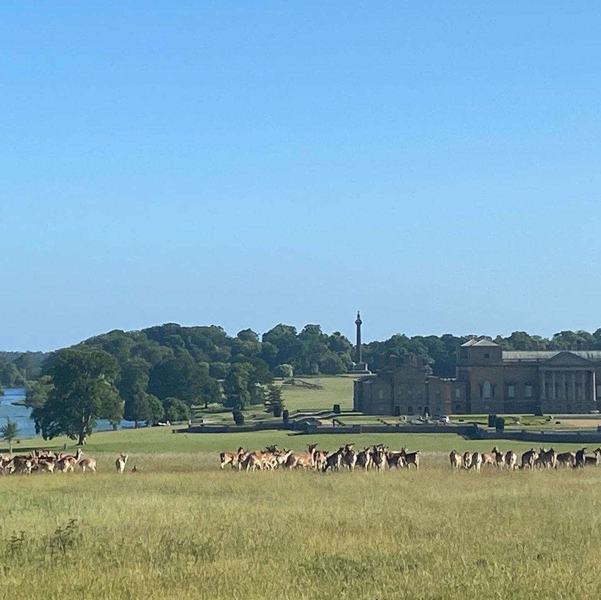 Holkham parkrun tweet media