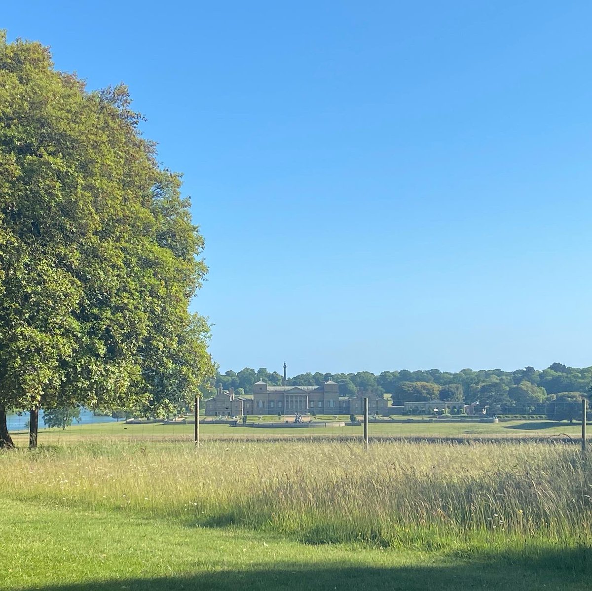 Holkham parkrun tweet media