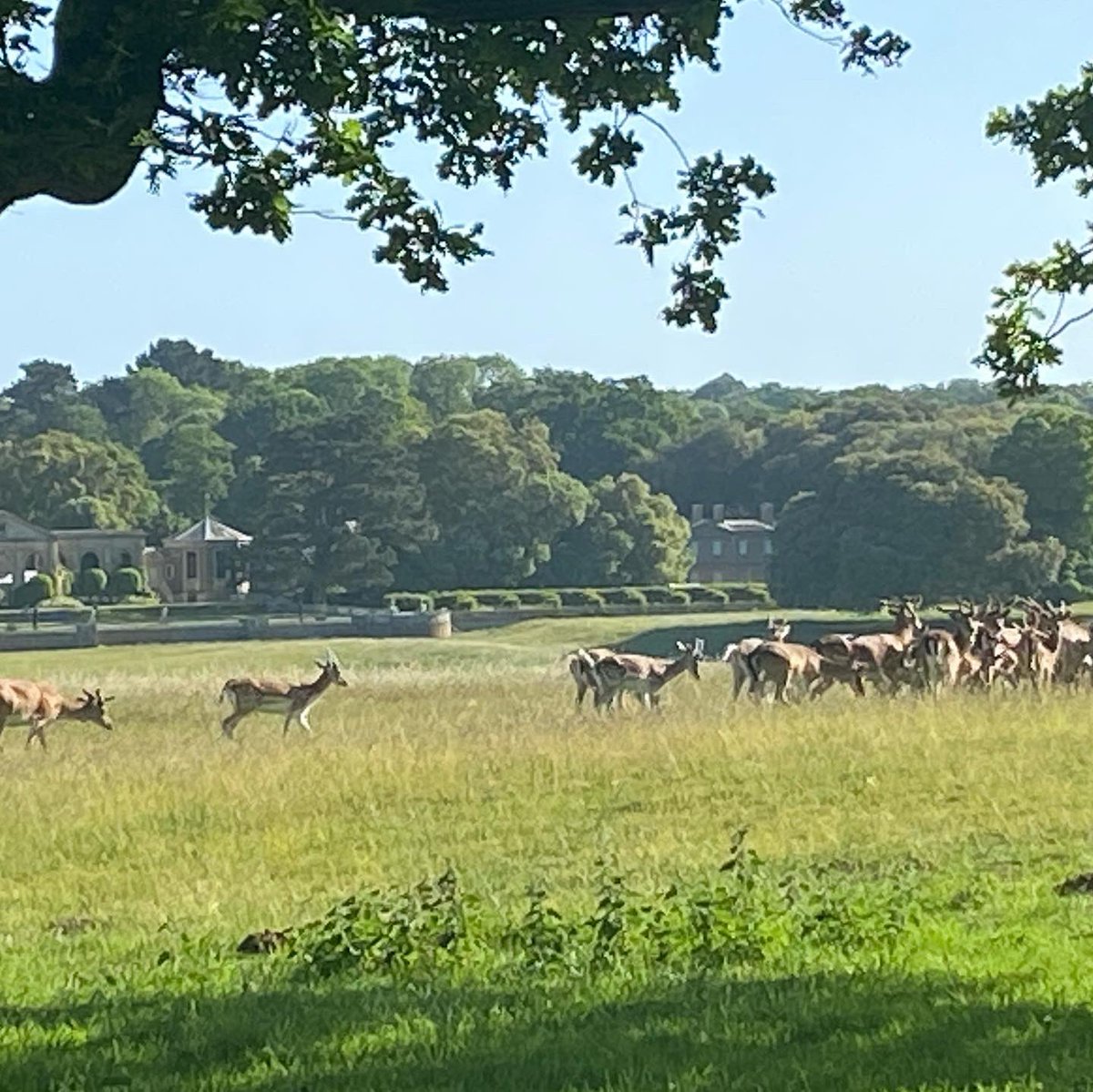 Holkham parkrun tweet media