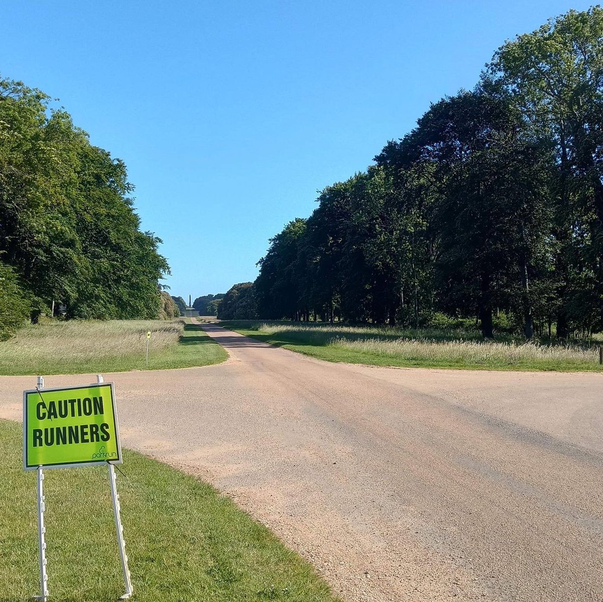 Holkham parkrun tweet media