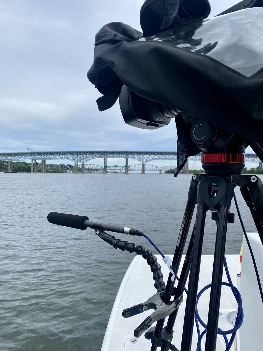 Imry Halevi tweet media