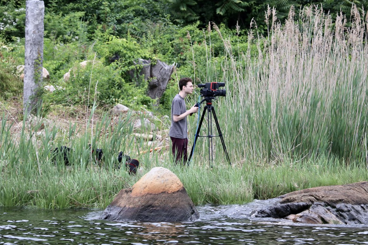 Imry Halevi tweet media