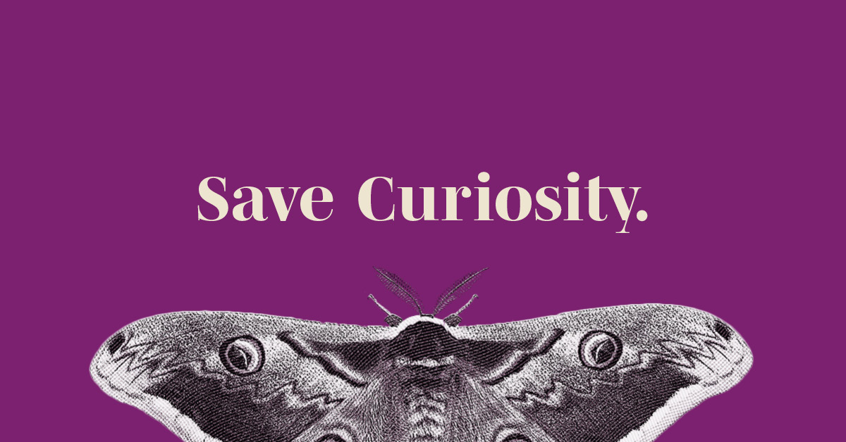 TWISTtweets's tweet photo. The #FearlessThinkers began work with @gocmnh with campaign concepts - #SaveCuriosity was one of the first campaigns we moved forward. Have you seen this campaign around #Cleveland?
#AgencyLife #Campaigns https://t.co/zCh91VY9HD