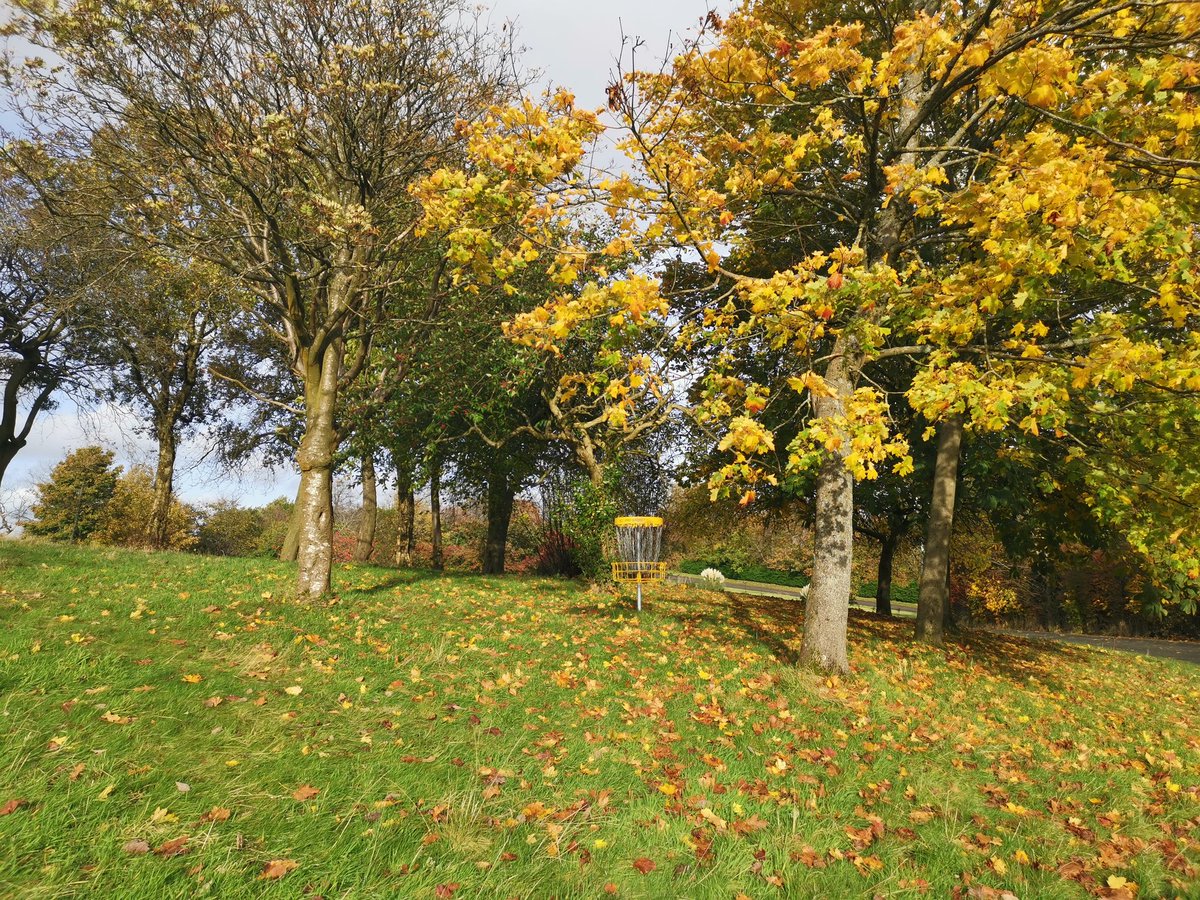 jimmycurls94's tweet photo. You can still sign up for @discgolf_strath's free taster session at  https://t.co/jtRjfDWrxD. We'll be at Springburn Park on Tuesday at 6pm with discs a-plenty. Come and meet Scotland's first student #discgolf club! #GetOutAndPlay https://t.co/Ed74VpebUT