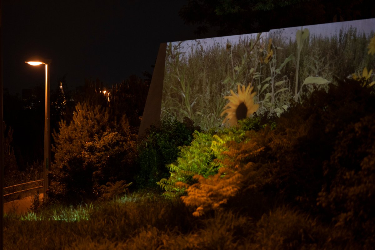 rock_hyrax's tweet photo. Ground Reclaimed with @KensingerNathan and @flux_factory at Hunters Point South. https://t.co/fJ4tI51A1w