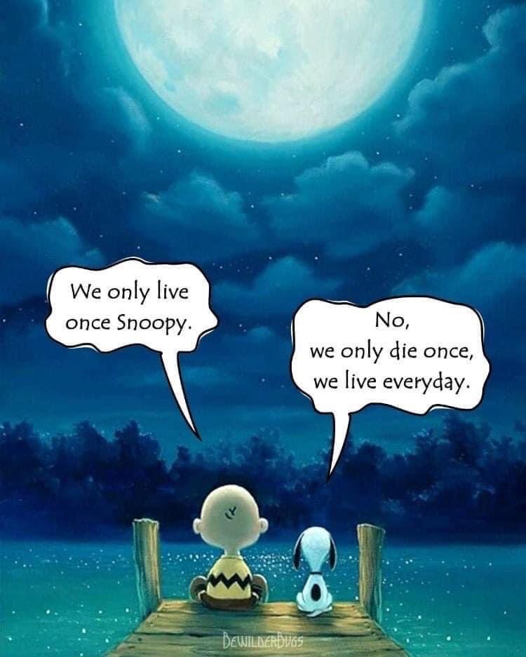 Kathy Broderick tweet media