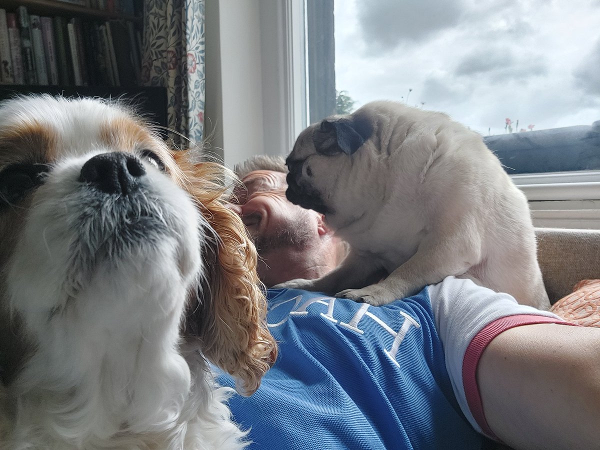 flashman230's tweet photo. My daughter's dogs were enthusiastic to see me ;0) #wantadog https://t.co/RJjZyY22IT