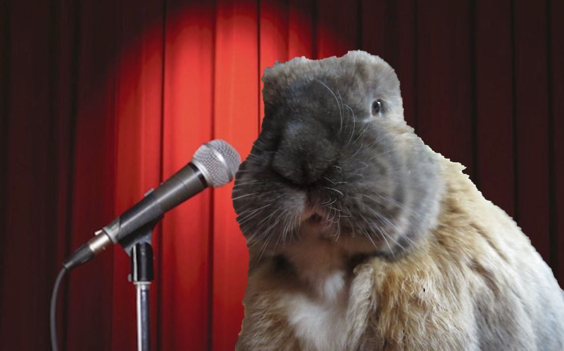 JackDRabbit2's tweet image. Wot’s an unusual way to make a milkshake?
Give a cold cow a pogo stick!!